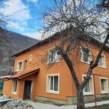 Guest House Lazar Raykov リバリツァ エクステリア 写真