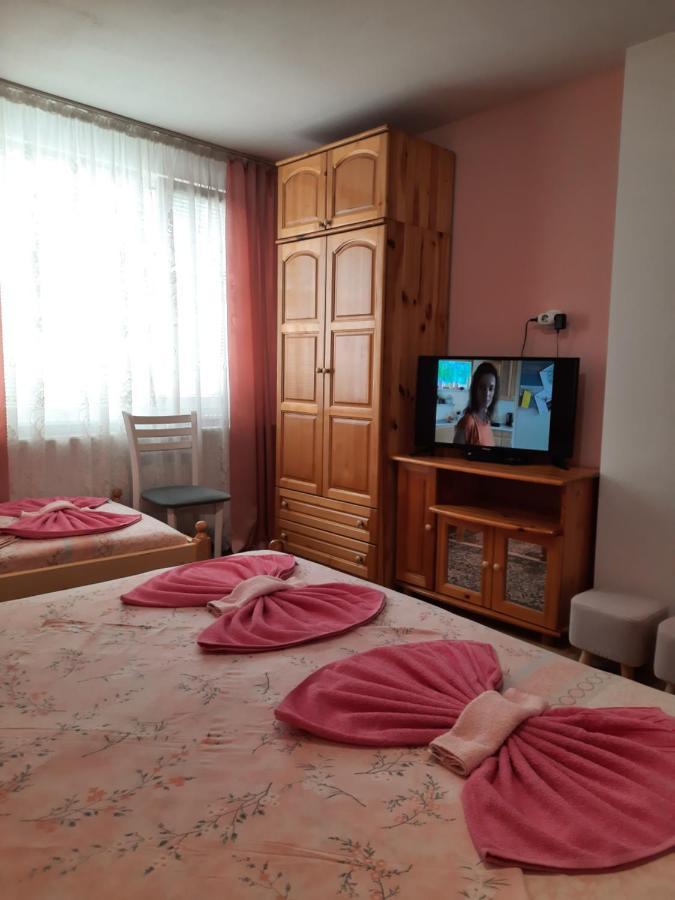 Guest House Lazar Raykov リバリツァ エクステリア 写真