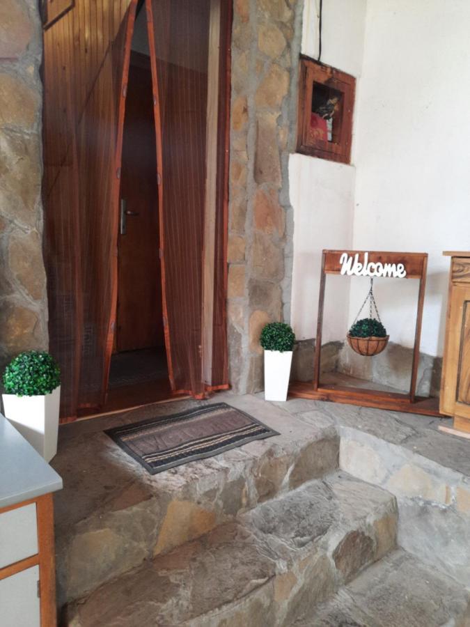 Guest House Lazar Raykov リバリツァ エクステリア 写真