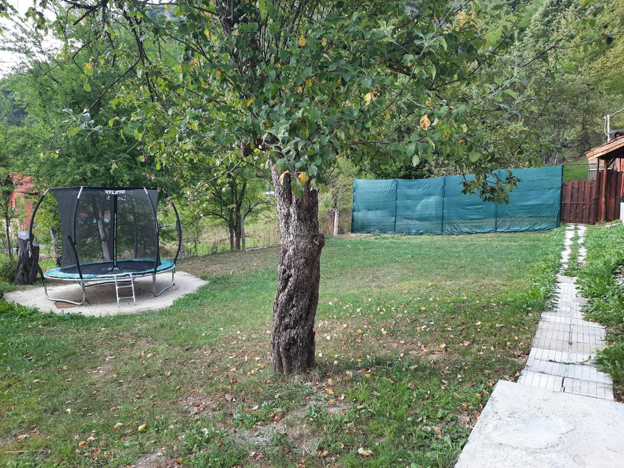 Guest House Lazar Raykov リバリツァ エクステリア 写真